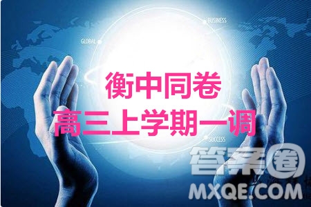 2020屆衡中同卷高三上學期一調考試理科數(shù)學試題及答案