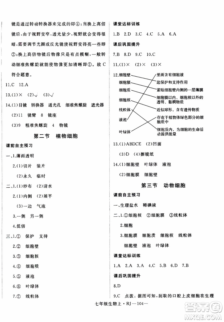 2019秋優(yōu)翼叢書學(xué)練優(yōu)生物七年級上RJ人教版參考答案