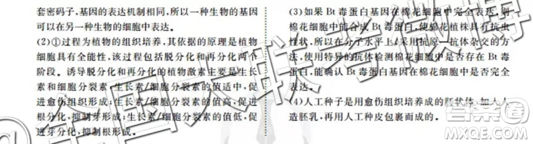 四省八校2020屆高三第一次教學質量檢測考試理科綜合答案
