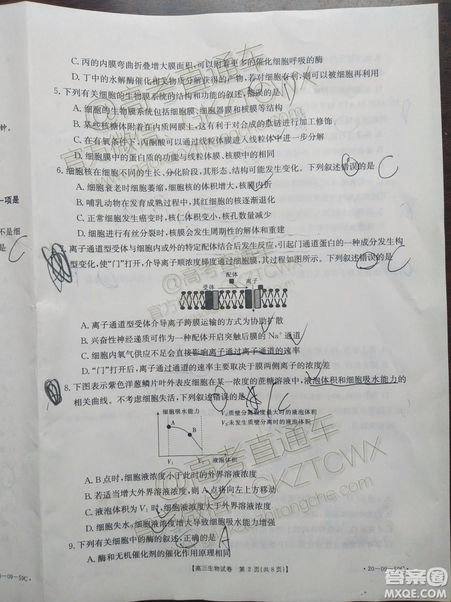 2020屆山西金太陽(yáng)10月第二次聯(lián)考生物試題及參考答案