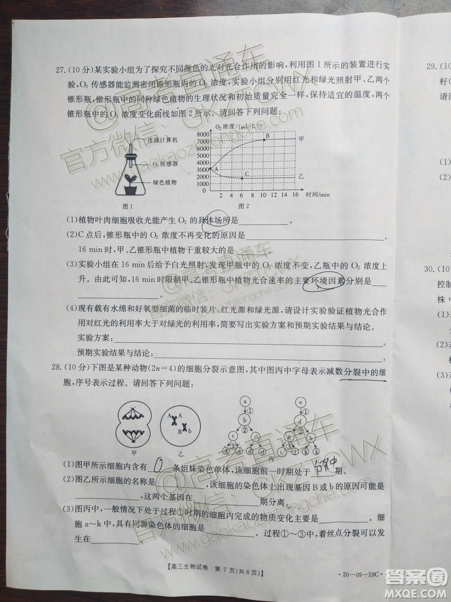2020屆山西金太陽(yáng)10月第二次聯(lián)考生物試題及參考答案