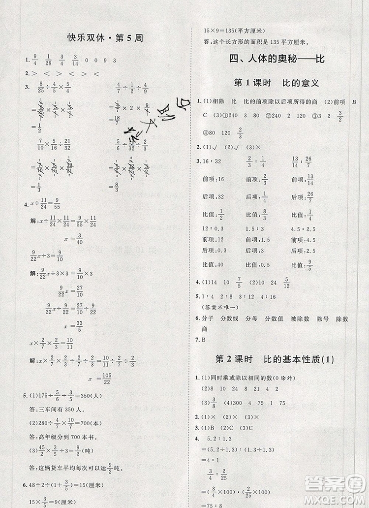 2019秋季陽光計劃第一步六年級數(shù)學上冊青島版答案