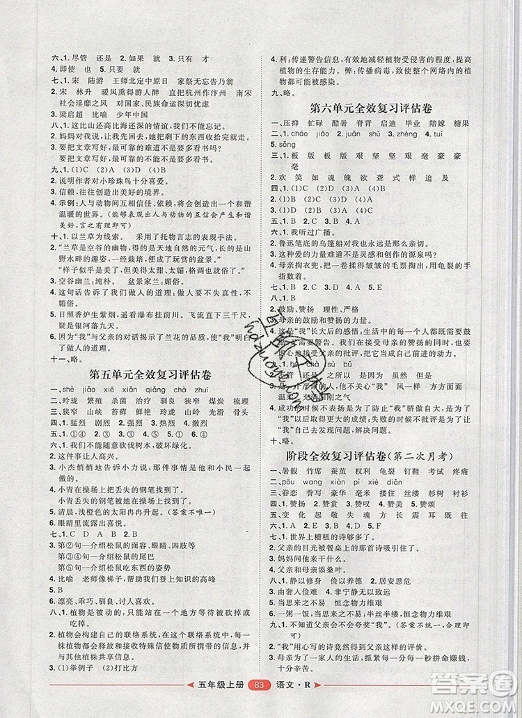 2019秋季陽(yáng)光計(jì)劃第二步五年級(jí)語(yǔ)文上冊(cè)人教版答案