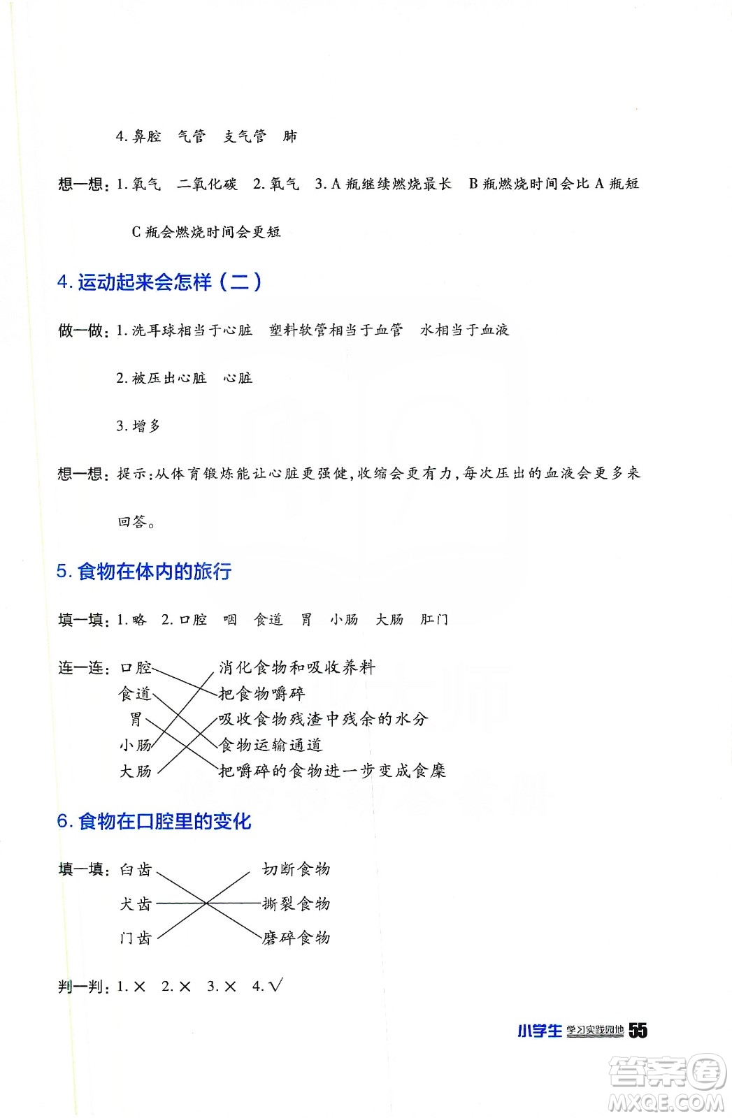 四川民族出版2019社新課標(biāo)小學(xué)生學(xué)習(xí)實(shí)踐園地科學(xué)四年級(jí)上冊(cè)人教版答案