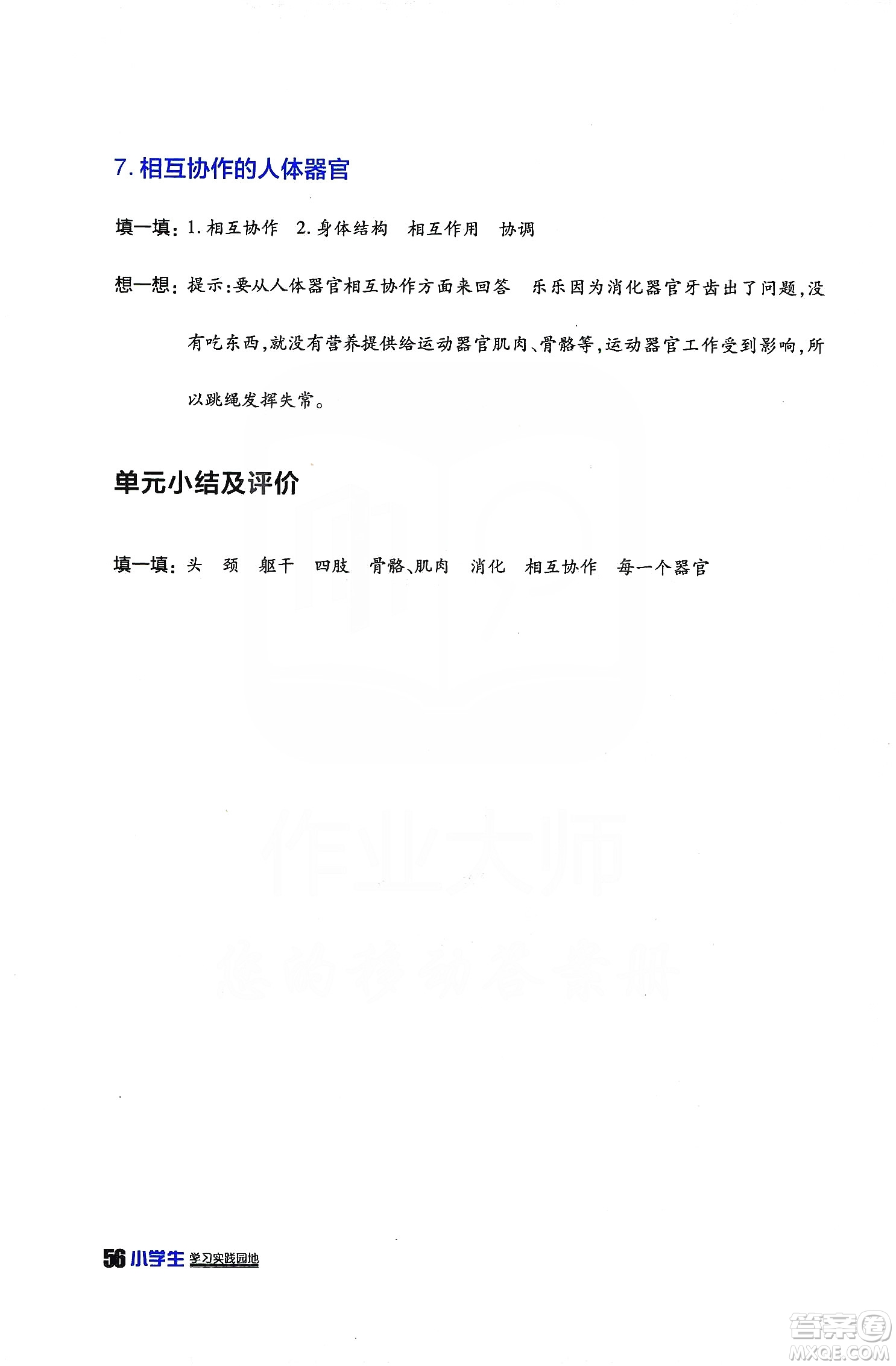 四川民族出版2019社新課標(biāo)小學(xué)生學(xué)習(xí)實(shí)踐園地科學(xué)四年級(jí)上冊(cè)人教版答案