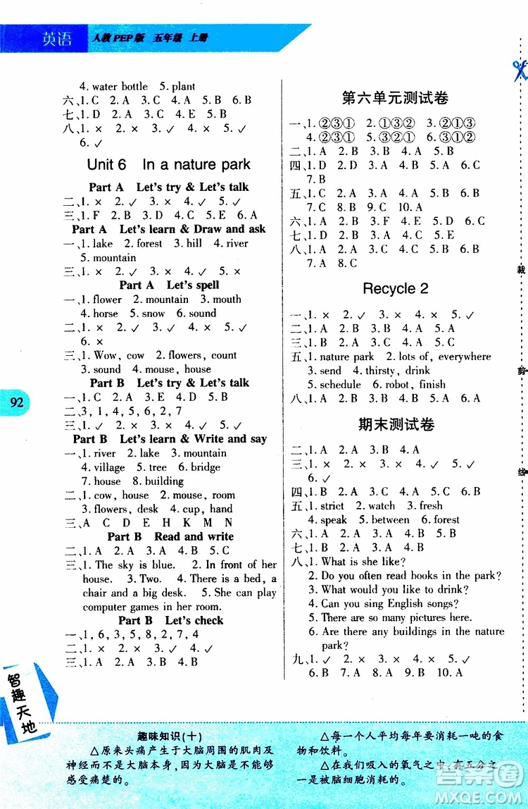 2019年新課程新練習英語五年級上冊PEP人教版參考答案