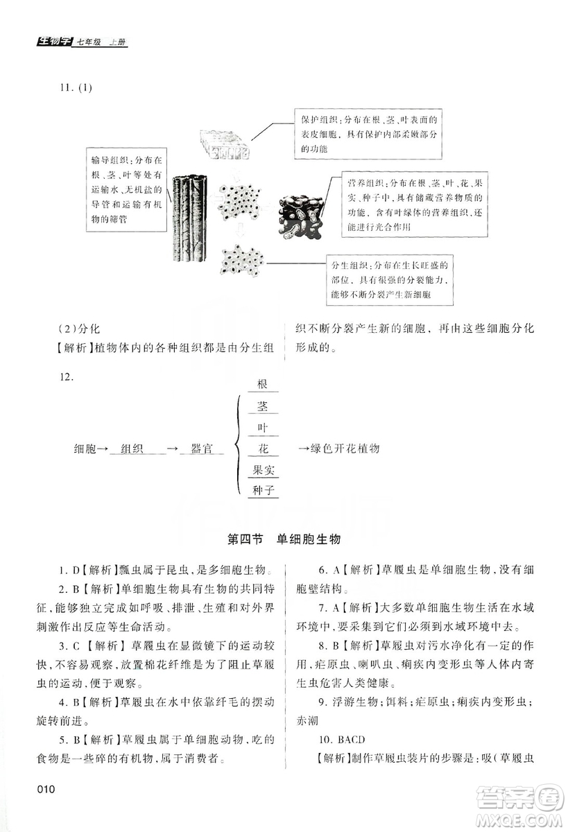 天津教育出版社2019學習質(zhì)量監(jiān)測生物學七年級上冊人教版答案