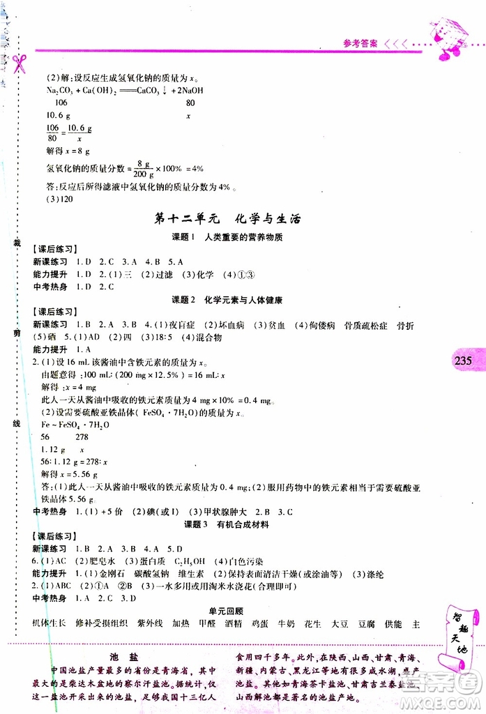 2019年新課程新練習(xí)化學(xué)九年級全一冊人教版參考答案
