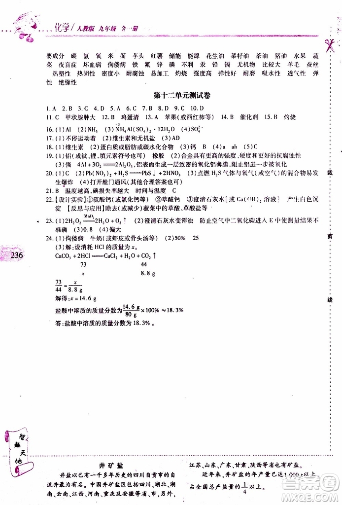 2019年新課程新練習(xí)化學(xué)九年級全一冊人教版參考答案