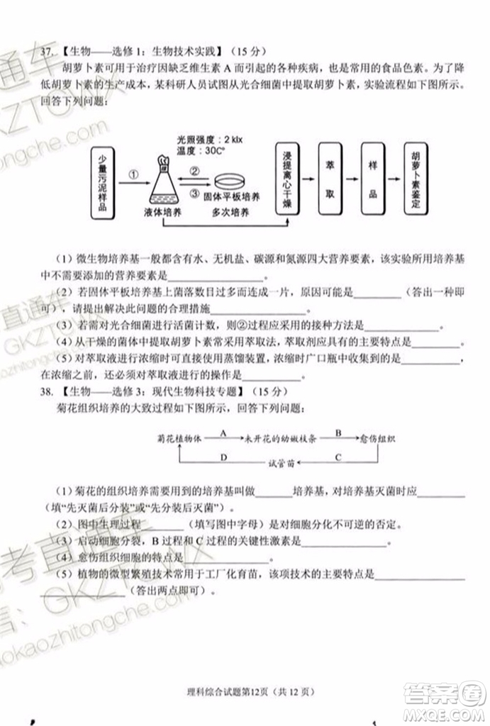 綿陽市高中2017級第一次診斷性考試?yán)砜凭C合試題及答案