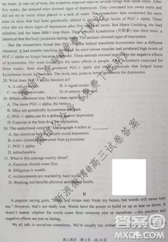 2020屆哈三中高三上學(xué)期期中考試英語試題及答案
