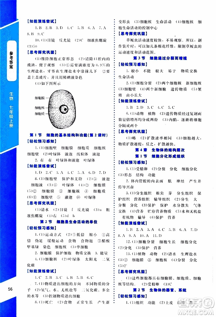 2019年課內(nèi)課外直通車生物七年級上冊福建專版北師大版參考答案