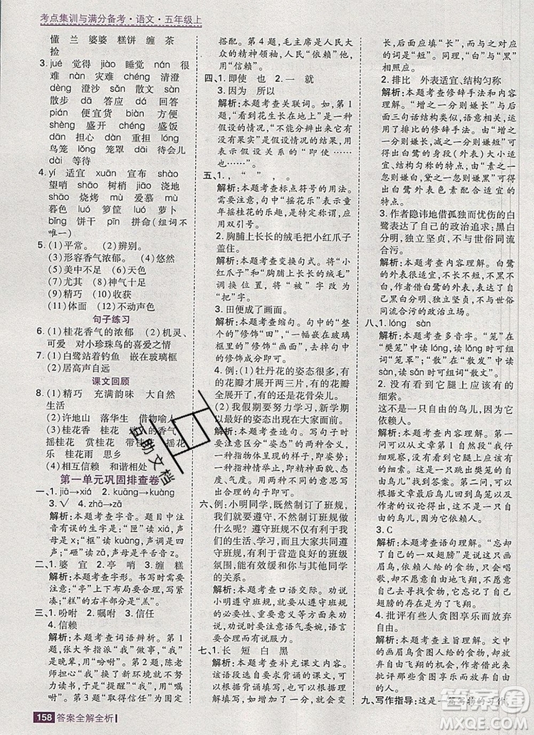 2019年考點集訓與滿分備考五年級語文上冊人教版答案