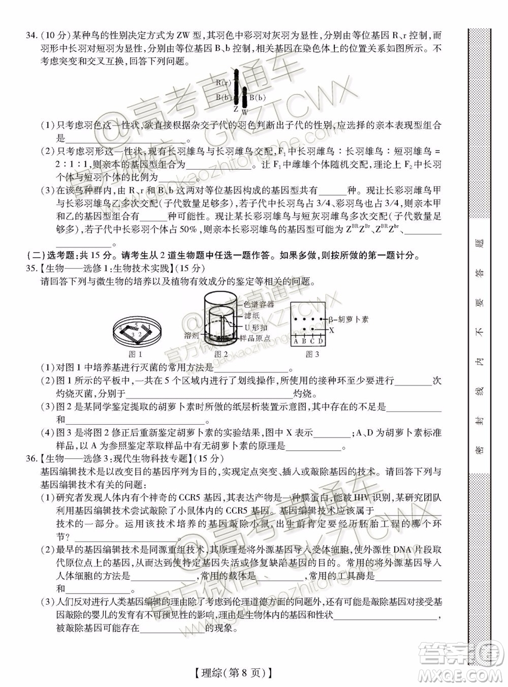 2020屆廣東省高三年級第一次教學(xué)質(zhì)量檢測理科綜合試題及答案
