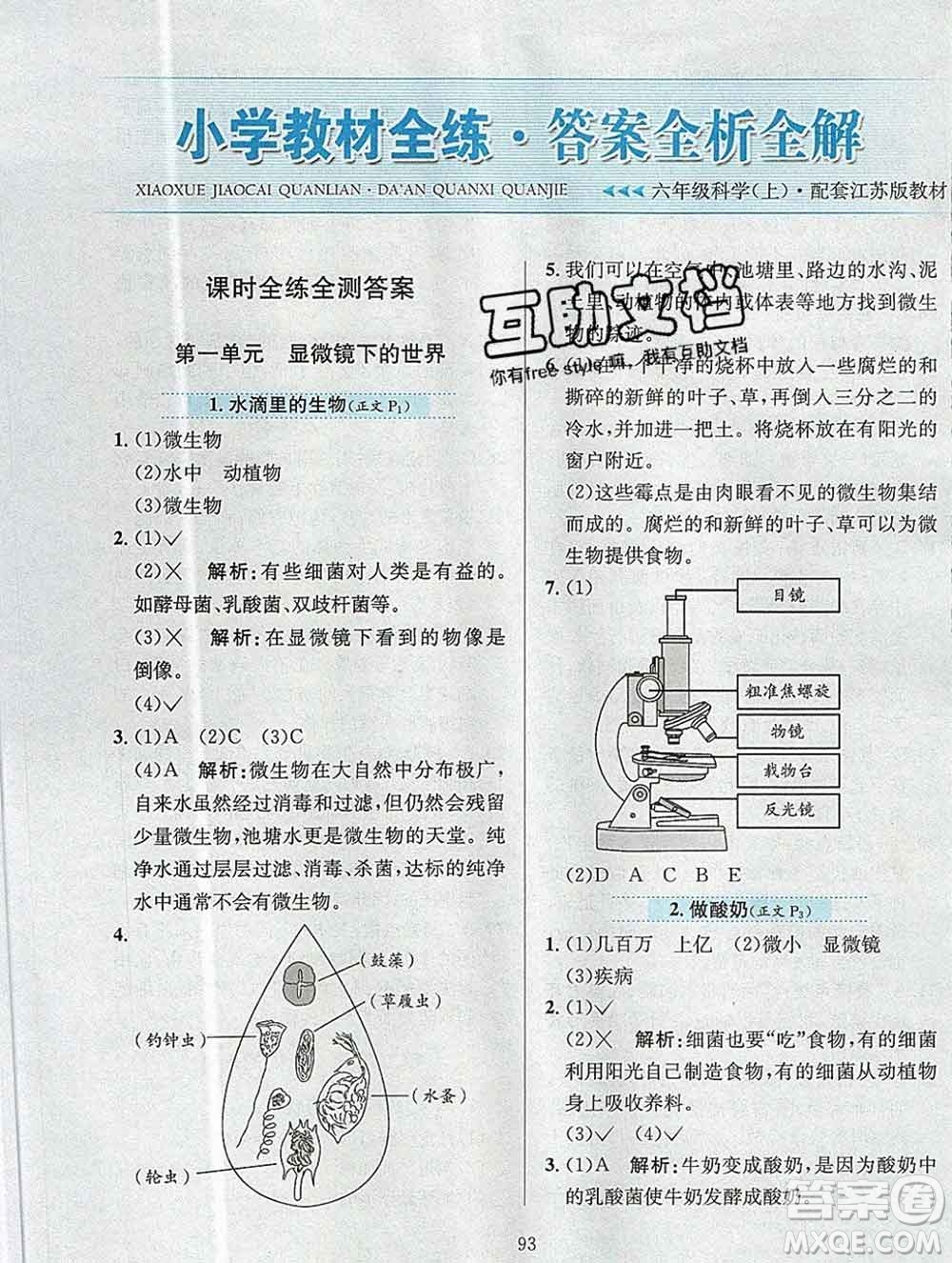 陜西人民教育出版社2019年小學教材全練六年級科學上冊江蘇版答案