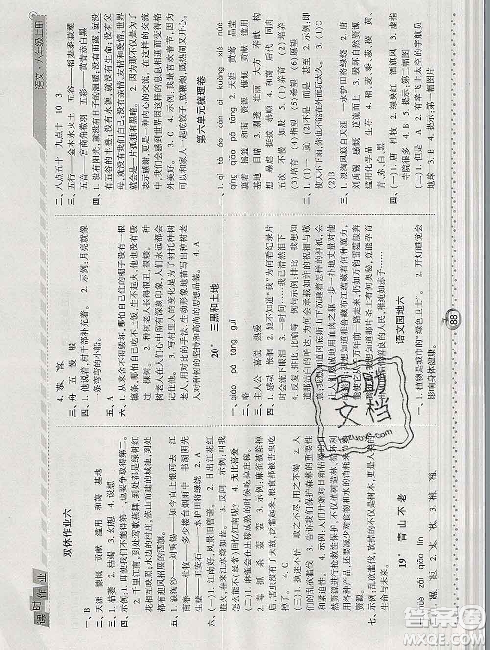 2019年秋人教版經(jīng)綸學(xué)典課時(shí)作業(yè)六年級(jí)語文上冊(cè)答案