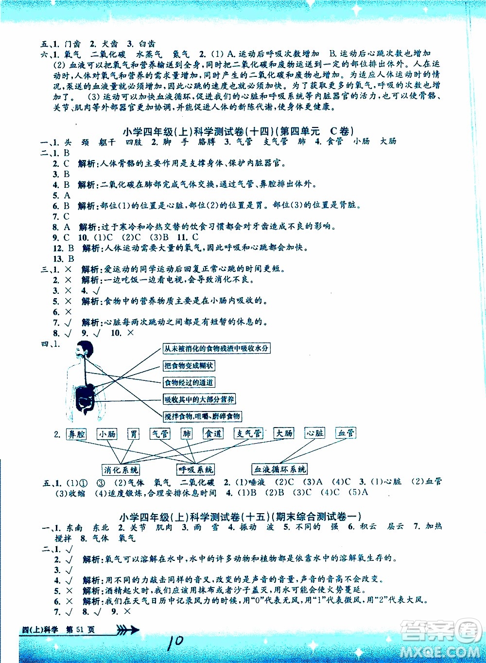 孟建平系列叢書2019年小學(xué)單元測試科學(xué)四年級上冊J教科版參考答案
