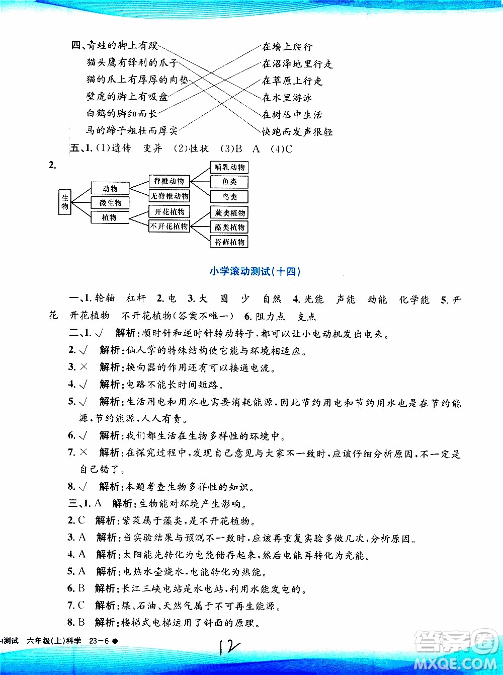 孟建平系列叢書2019年小學滾動測試科學六年級上冊J教科版參考答案
