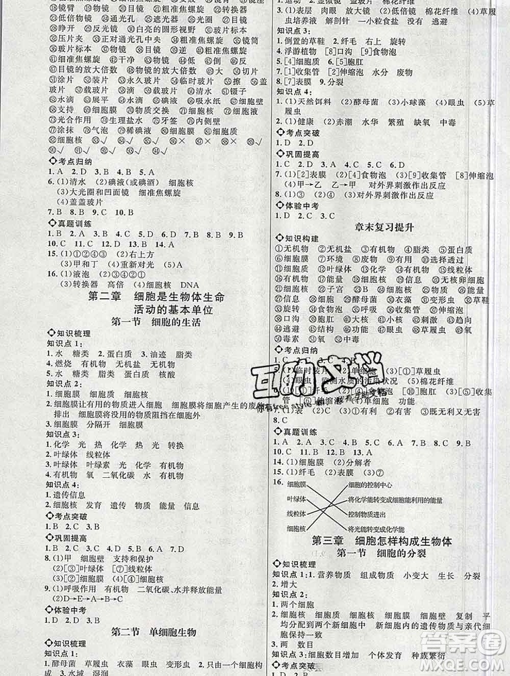 內(nèi)蒙古少年兒童出版社2019秋五四制魯科版細(xì)解巧練六年級生物上冊答案