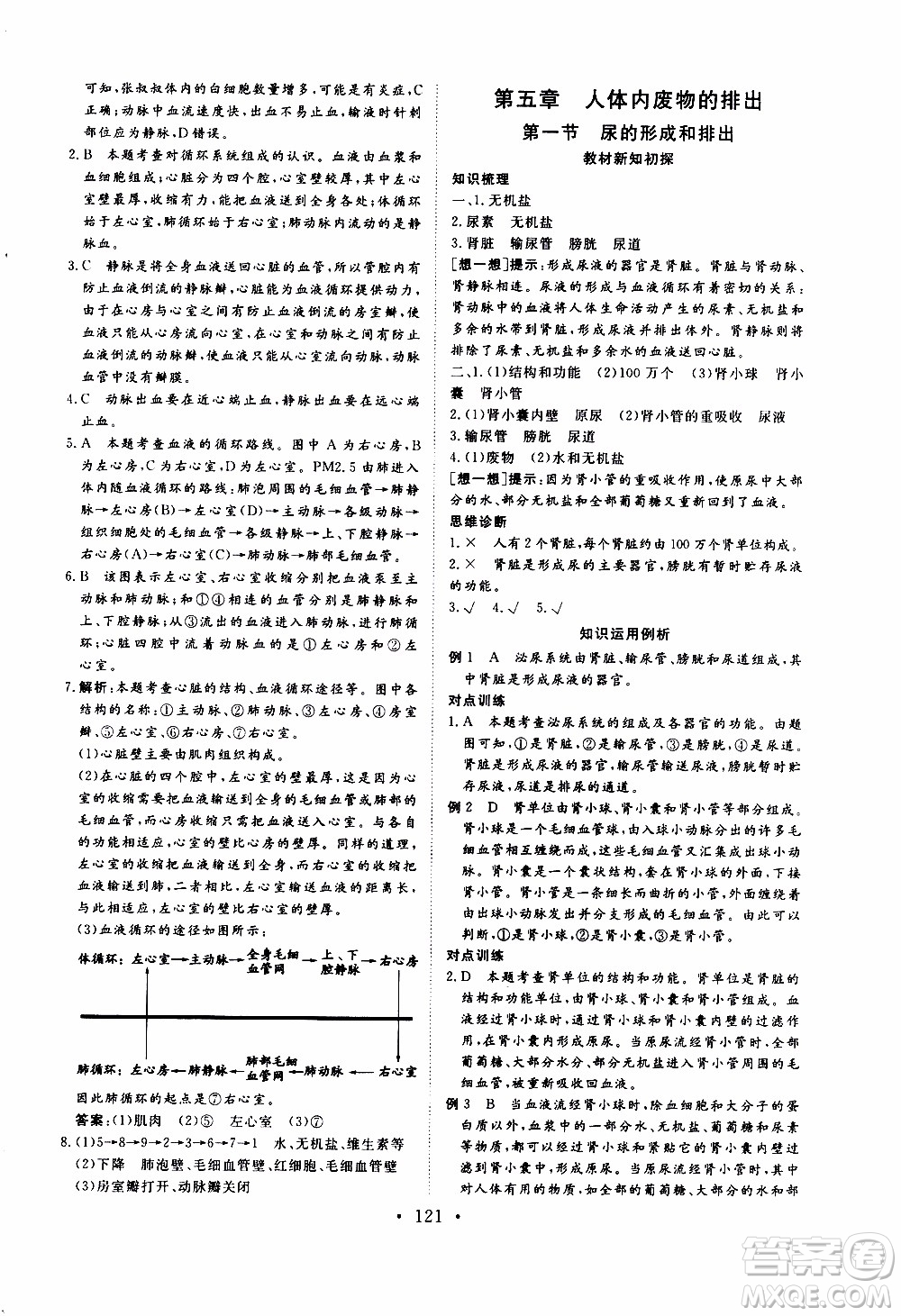 2019年新動(dòng)力課堂與檢測(cè)生物學(xué)七年級(jí)上冊(cè)參考答案