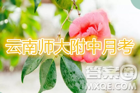 2020屆云師大附中高考適應性月考四英語試題及參考答案