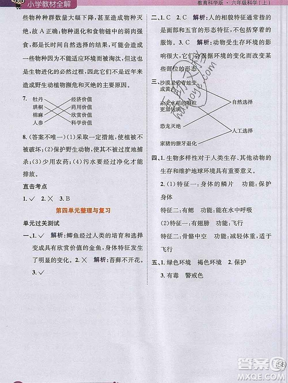 陜西人民教育出版社2019秋小學(xué)教材全解六年級科學(xué)上冊教科版答案