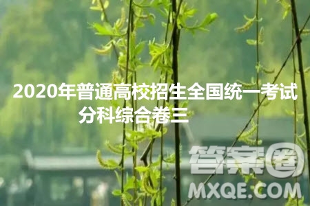 2020年普通高校招生全國統(tǒng)一考試分科綜合卷三語文試題及答案
