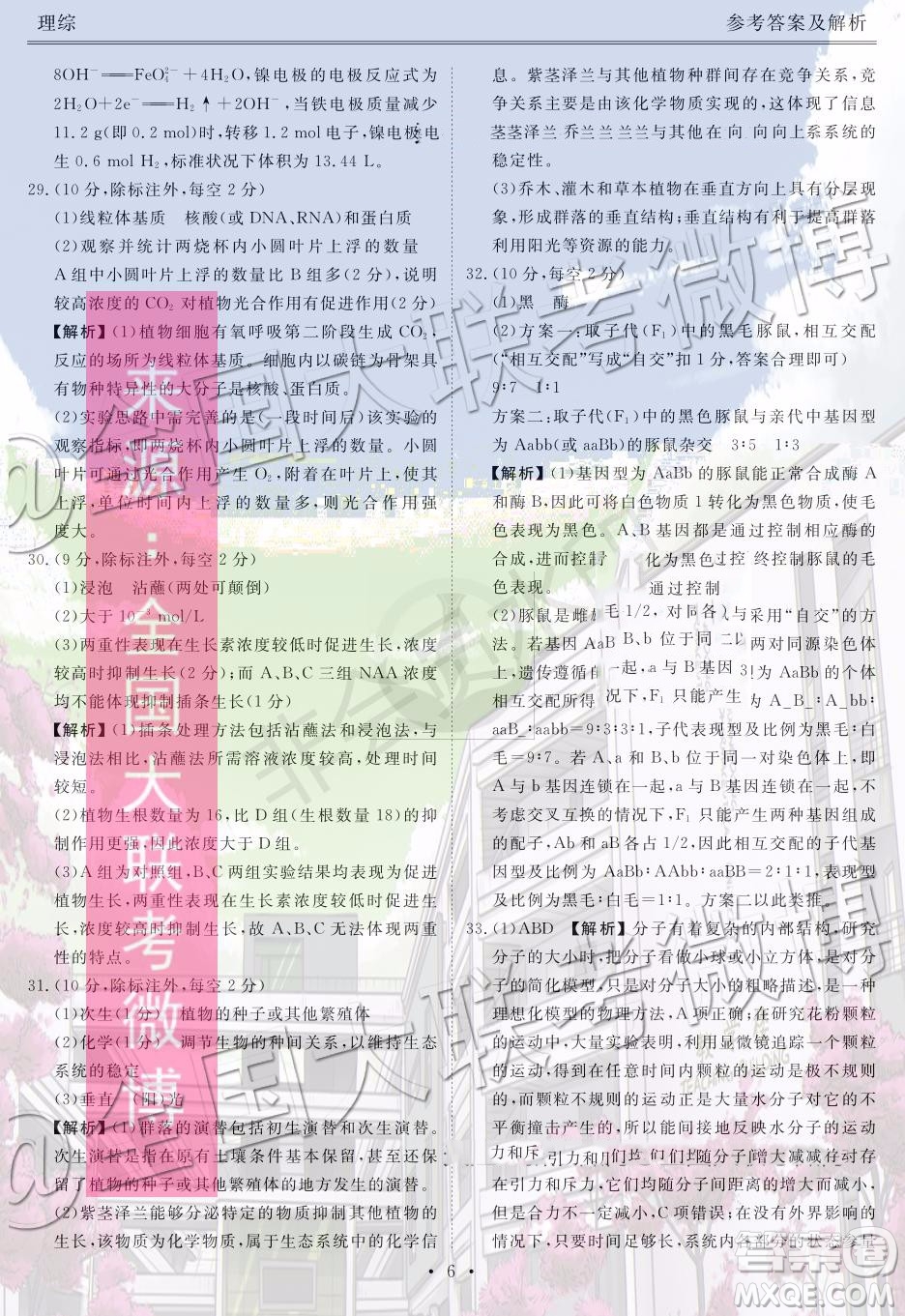 衡水金卷2020屆高三期末預熱聯(lián)考理科綜合參考答案