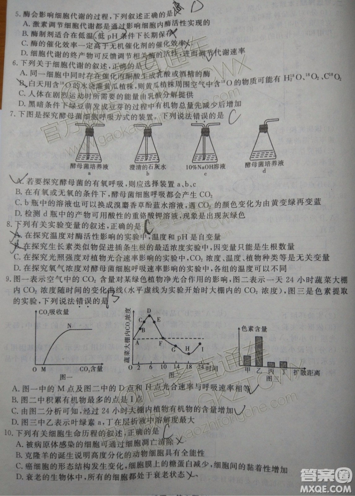 2020屆湖南省五市十校教研共同體聯考生物試題及參考答案