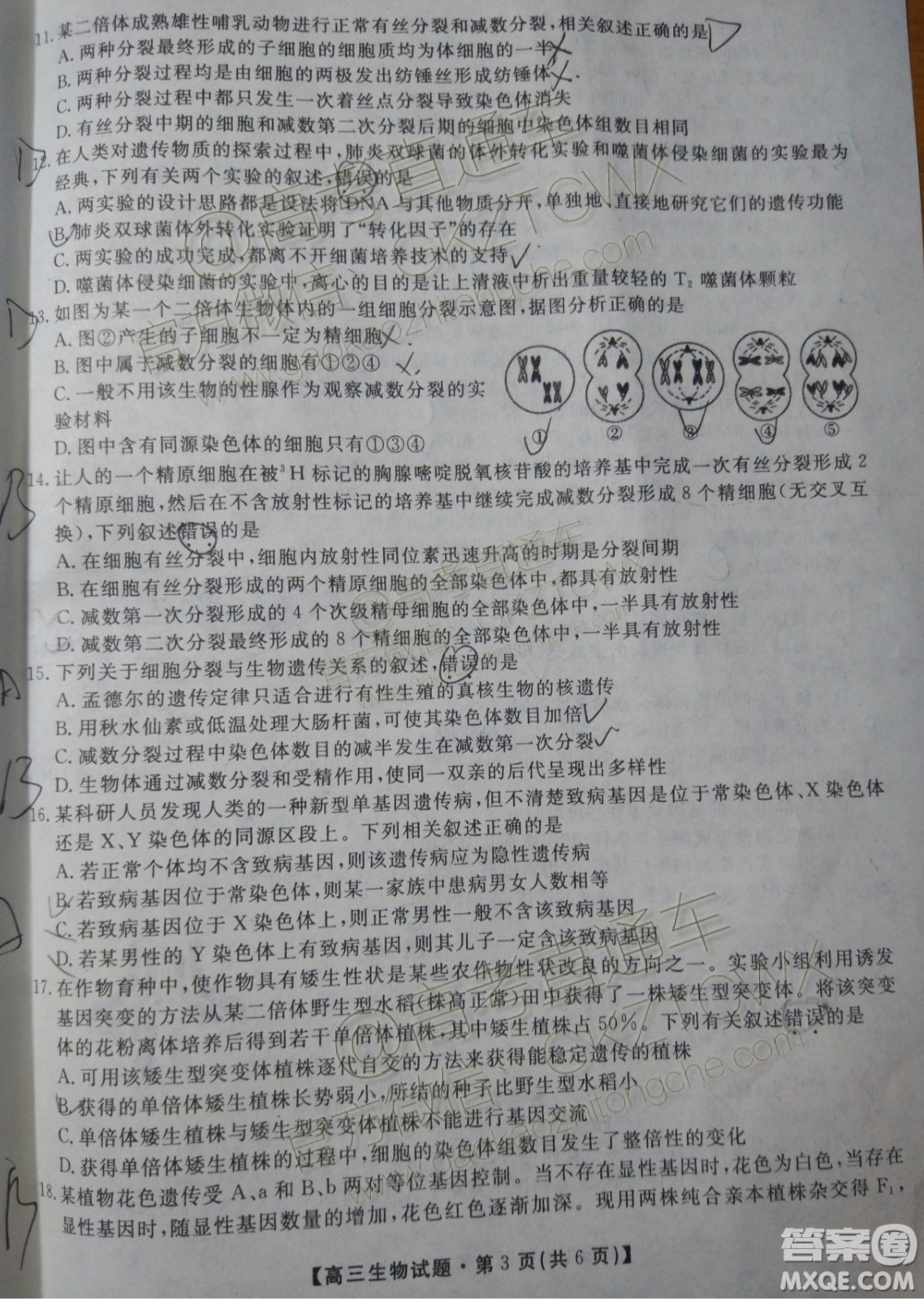 2020屆湖南省五市十校教研共同體聯考生物試題及參考答案