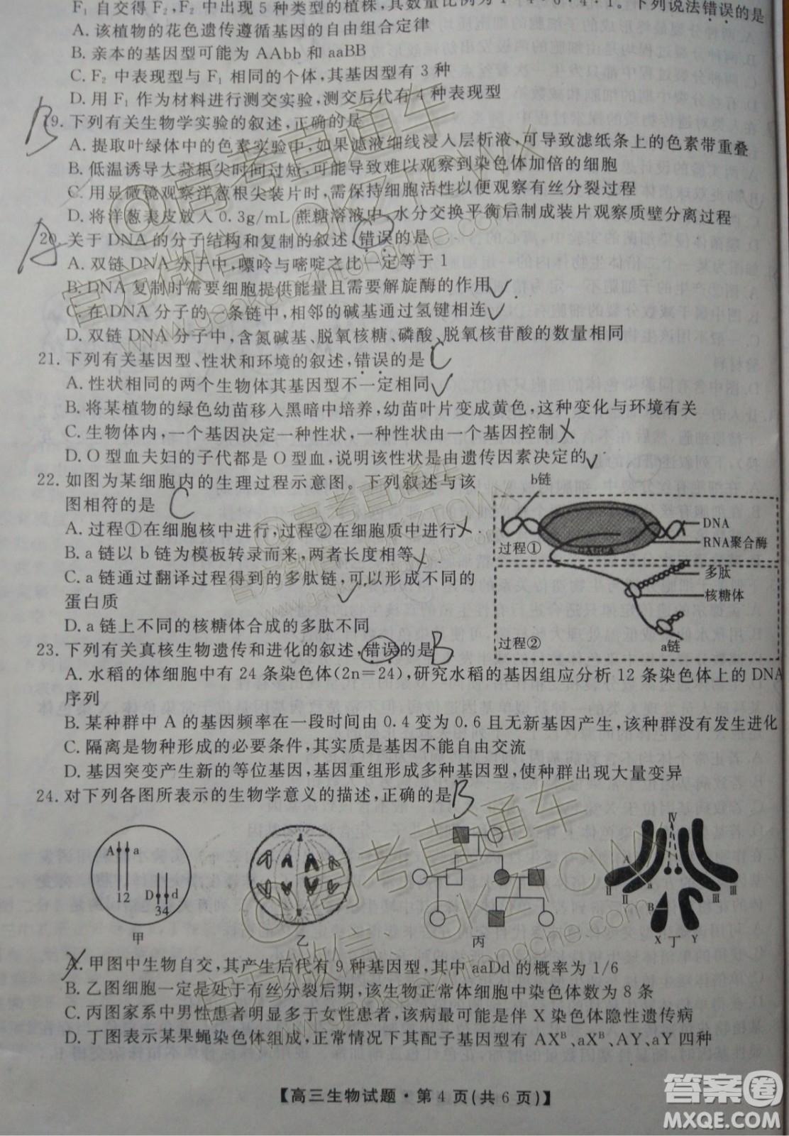 2020屆湖南省五市十校教研共同體聯考生物試題及參考答案