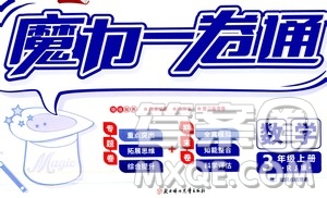 2019年魔力一卷數(shù)學(xué)三年級(jí)上冊(cè)RJ版人教版參考答案