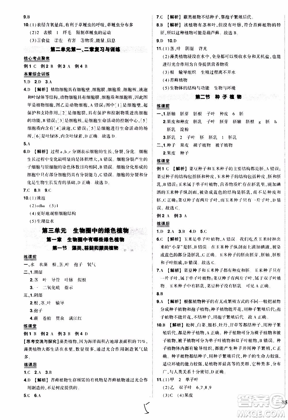 狀語成才路2019年?duì)钤獙?dǎo)練七年級(jí)上冊(cè)生物人教版參考答案