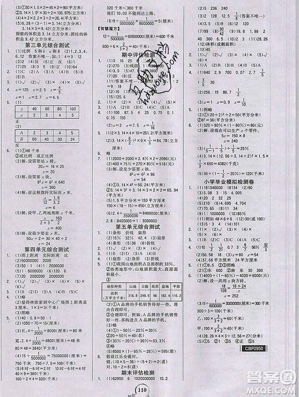 延邊大學(xué)出版社2020新版世紀(jì)金榜金榜小博士六年級數(shù)學(xué)下冊青島版答案