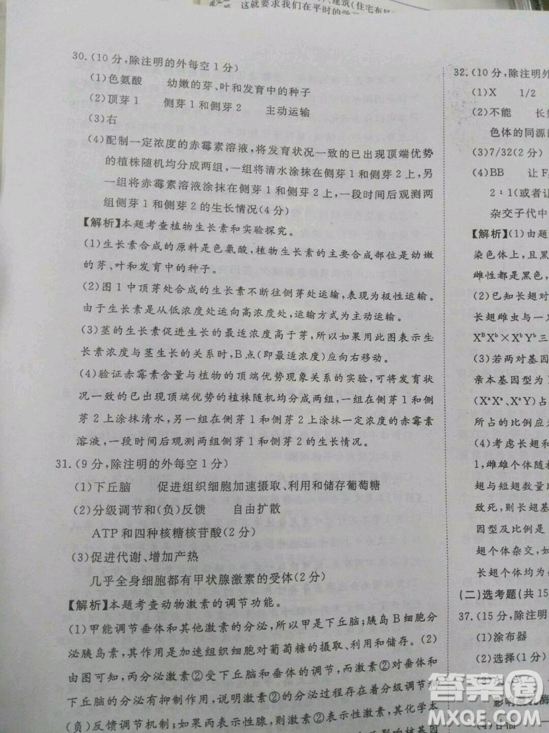 2020屆國考1號生物7答案