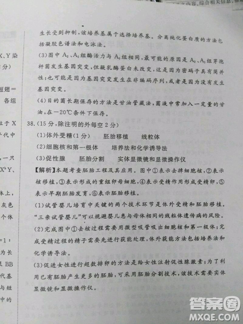 2020屆國考1號生物7答案