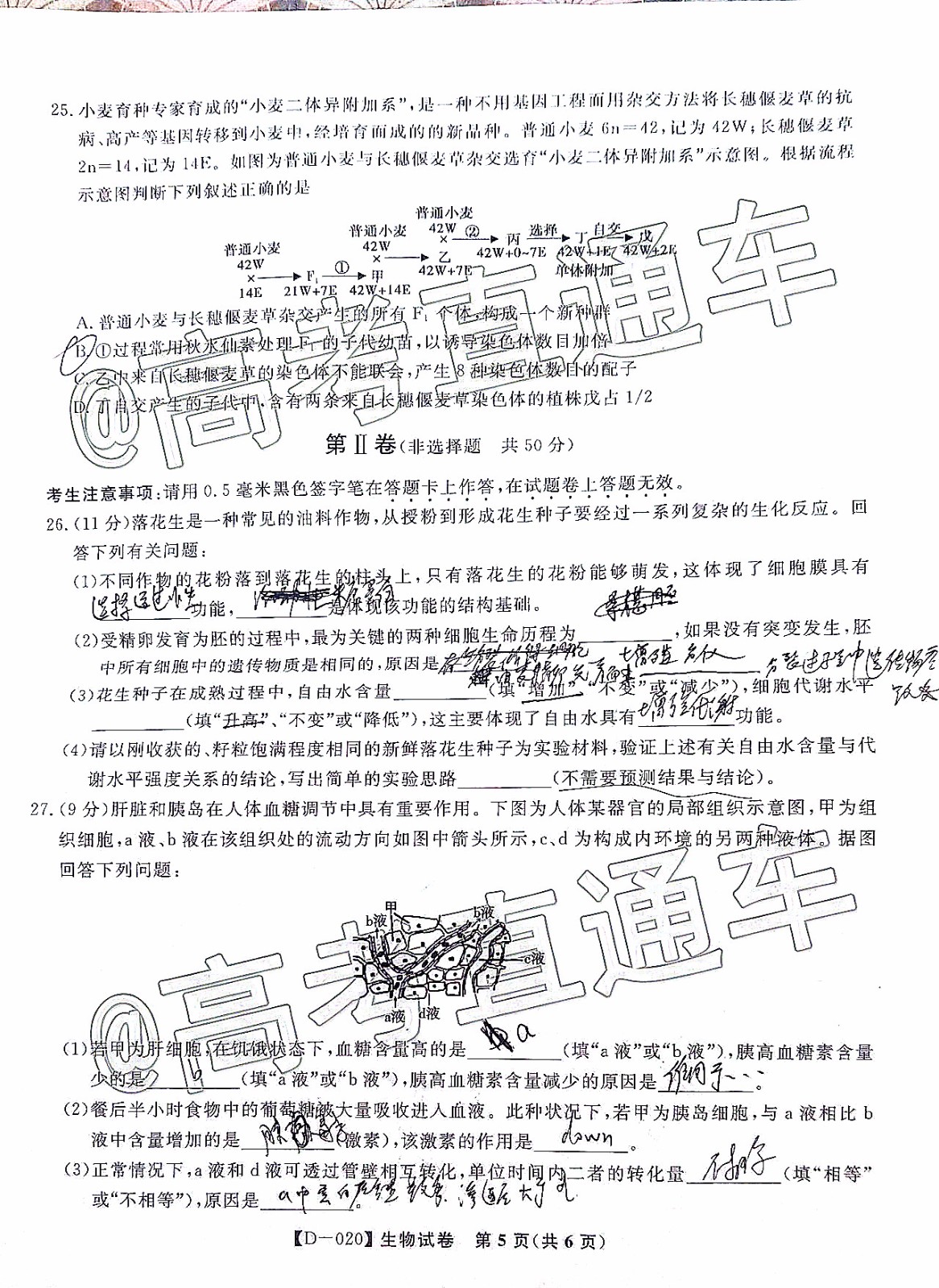 皖江名校聯(lián)盟2020屆高三12月份聯(lián)考生物試題及答案