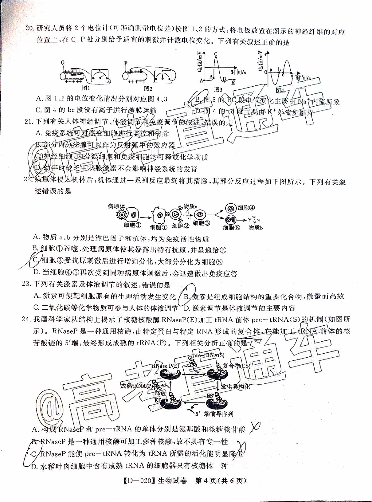 皖江名校聯(lián)盟2020屆高三12月份聯(lián)考生物試題及答案