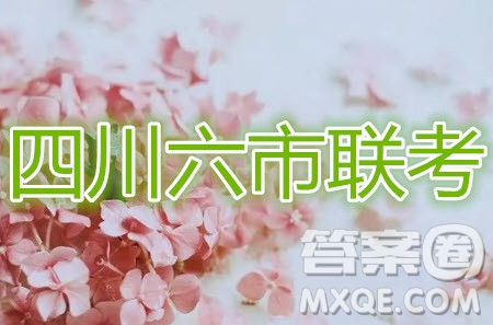 2020屆四川六市廣安廣元眉山逐寧資陽(yáng)雅安聯(lián)考數(shù)學(xué)理工類(lèi)試題及答案