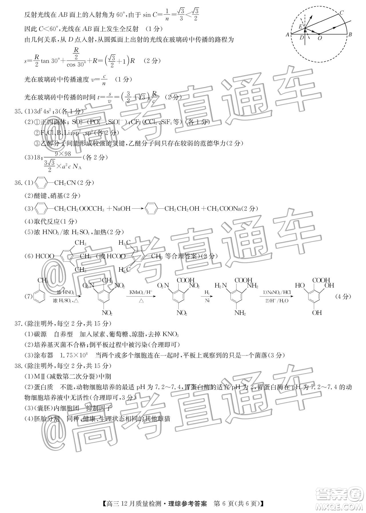 九師聯盟2019-2020學年高三12月質量監(jiān)測理科綜合答案