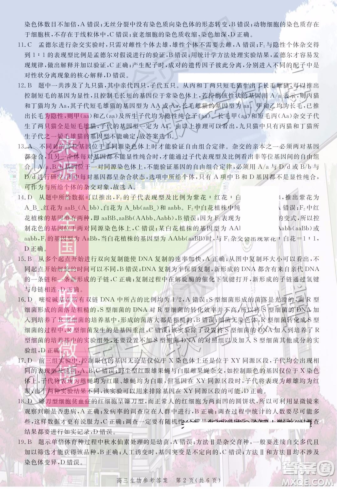 2020屆河北邯鄲高三12月質(zhì)量檢測(cè)生物試題答案