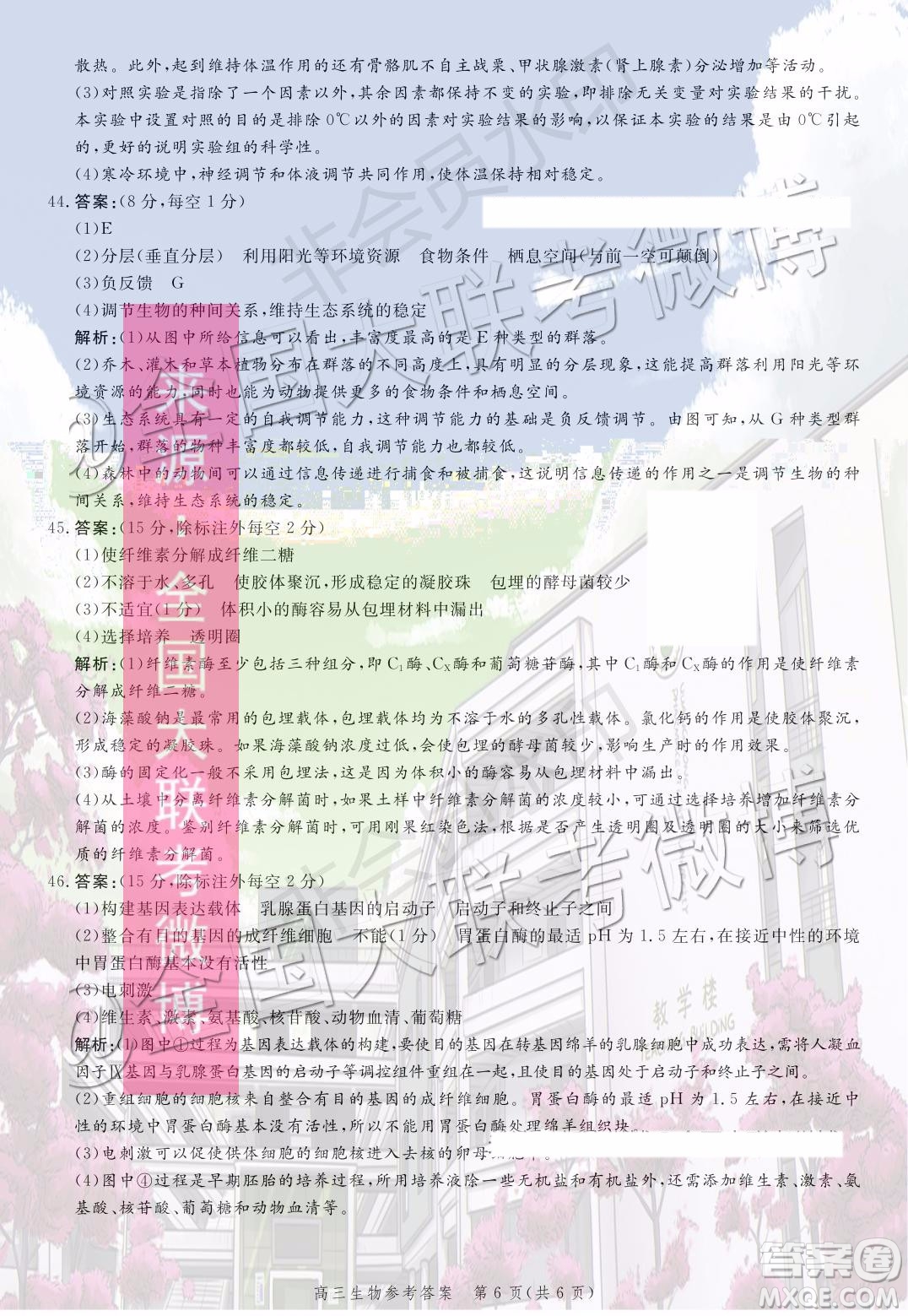 2020屆河北邯鄲高三12月質(zhì)量檢測(cè)生物試題答案