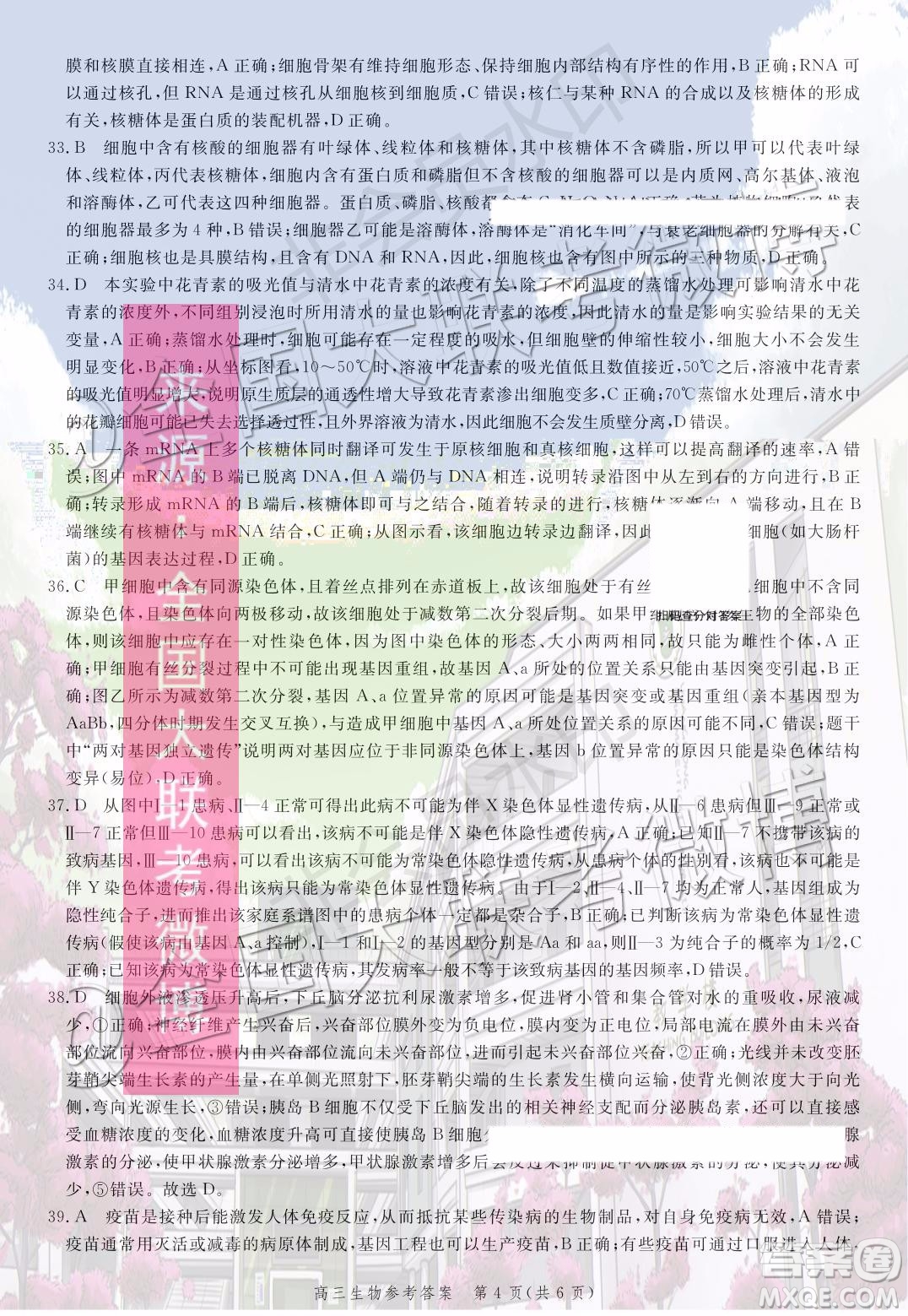 2020屆河北邯鄲高三12月質(zhì)量檢測(cè)生物試題答案