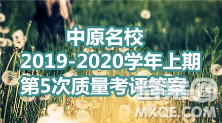 中原名校2019-2020學(xué)年上期第5次質(zhì)量考評(píng)高三文科數(shù)學(xué)答案