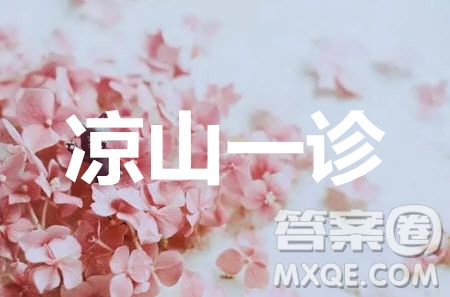 涼山州2020屆高中畢業(yè)班第一次診斷性檢測語文答案