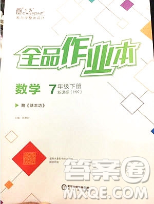 陽光出版社2020年全品作業(yè)本數(shù)學七年級下冊滬科版參考答案