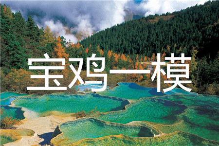 2020年寶雞市高考模擬檢測一文科數(shù)學(xué)答案