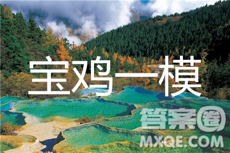 2020年寶雞市高考模擬檢測一英語答案
