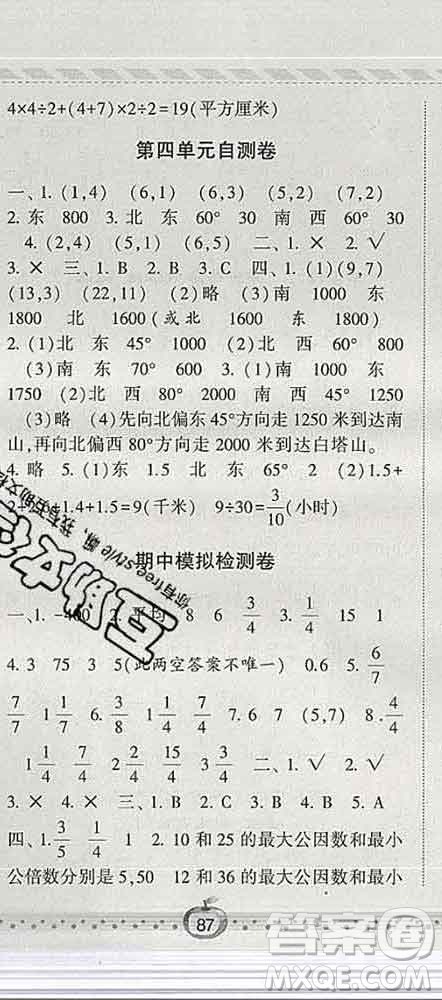 寧夏人民教育出版社2020春經綸學典課時作業(yè)五年級數學下冊青島版答案