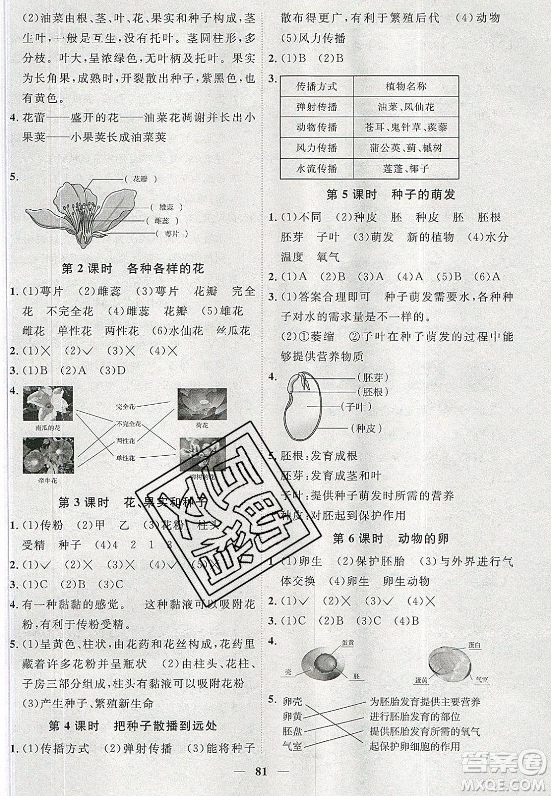 宇軒圖書2020春陽光同學課時優(yōu)化作業(yè)科學四年級下冊教科版答案